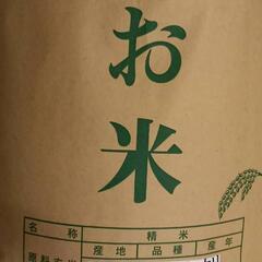 新米　栃木県産コシヒカリ　10kg
