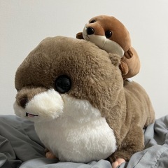 カワウソ　ぬいぐるみ　まとめ