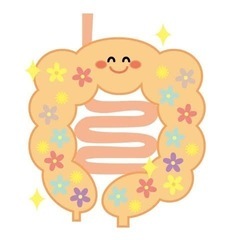 🕊️🌿腸活アドバイザーさん目指しませんか🌿🕊️