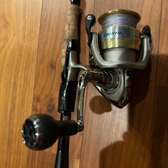 ダイワ ブレイゾン   s69L-2の画像
