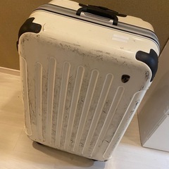 キャリーバッグ　特大　白