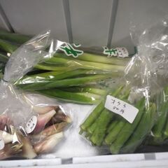 新鮮野菜コーナー10月10日の品出し予定です。