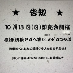【メダカ屋　恵作めだか】10月13日(日曜日)　今期最後の即売会...