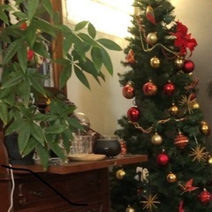 クリスマスツリー