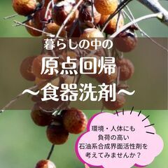天然界面活性剤サポニン「ムクロジの実」粉食器洗剤の体験＆お話会