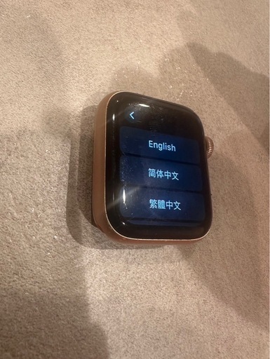 Apple Watch SE