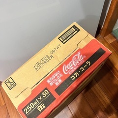 コカコーラ250ml 1ケース（30本入）の画像