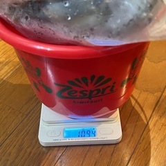 🦀カニ🦀の画像