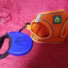 犬　ドッグ🐕　中型犬用　リード　胴衣　散歩アイテム一式の画像