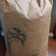 玄米よりお手軽　ぶづき米 茨城県コシヒカリ 2024新米　10kg