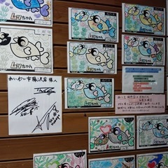 🩵新企画❣️わいわい市★昆虫サンタさんによるプレゼントとメダカすくいなどのご案内【社会貢献の一貫として子供食堂にメダカ塗り絵&クレヨンをプレゼントする活動をしています】 − 神奈川県