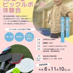 話題沸騰中ニュースポーツ　ピックルボール