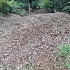 赤土、黒土上質物   30kgで500円の画像