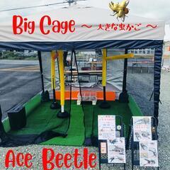 BigCage大きな虫かごで遊ぼう/入場料ひとり５分１００円の画像