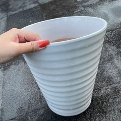 蘭鉢 ラン鉢
