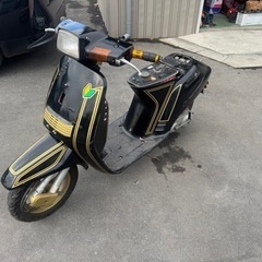 クレージュ タクトの画像