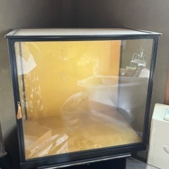 ガラスケース