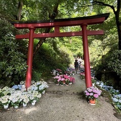 御朱印巡り友達募集します⭐︎