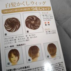 prisila 白髪かくしウィッグの画像