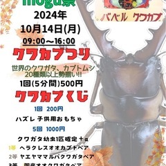 10月14日　9時〜16時　クワカブくじ　200円　クワカブ釣り...