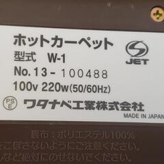 1畳用ホットカーペットの画像