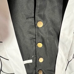 鬼滅の刃しのぶさん コスプレ子供用130センチの画像