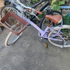 自転車　紫