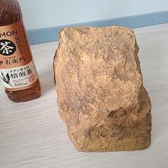 リクガメさんのシェルターの画像