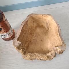 リクガメさんのシェルターの画像