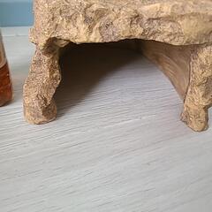 リクガメさんのシェルターの画像