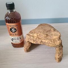 リクガメさんのシェルター