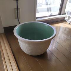 睡蓮鉢（メダカ鉢）