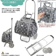 送料込み新品　保冷機能有り、折りたたみレジかごトートバッグ　エコバッグ の画像