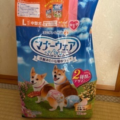 中型犬　オムツ