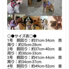 犬用　ハーネスの画像