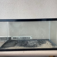 水槽の画像