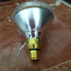 ハロゲンビームライト E26の画像