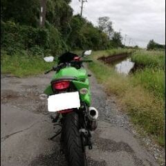 Kawasaki  ニンジャ 250R