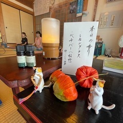 秘密の光暁寺ヨガ2024.11〜の画像