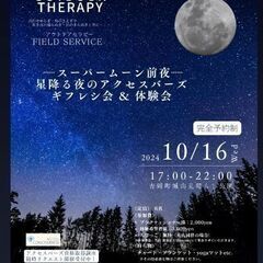 🌟星降る夜のアウトドアセラピー🌟