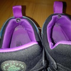 NIKEAIRハラチ27.5の画像