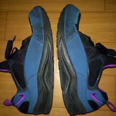 NIKEAIRハラチ27.5の画像