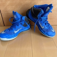 最終値販売NIKE ナイキバスケットシューズ　24、5美品　