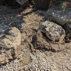 無料　庭石差し上げますの画像