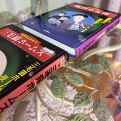 三毛猫ホームズ・明智小五郎　赤川次郎・江戸川乱歩　2冊の画像