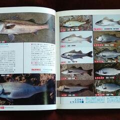 釣り魚図鑑　160Pオールカラーの画像