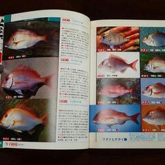 釣り魚図鑑　160Pオールカラーの画像