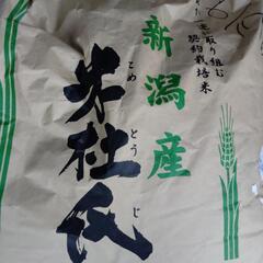 新潟産 コシヒカリ 【新之助】R5年度産20kg + R6.6 ...