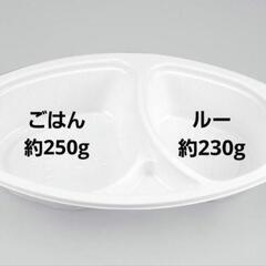 100セット　使い捨てカレー容器　テイクアウト