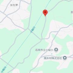 子猫・黒猫・捨て猫保護しました。